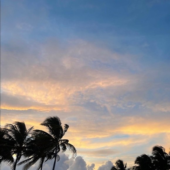 Meet your Posher, Natali - Picture 1 of 1